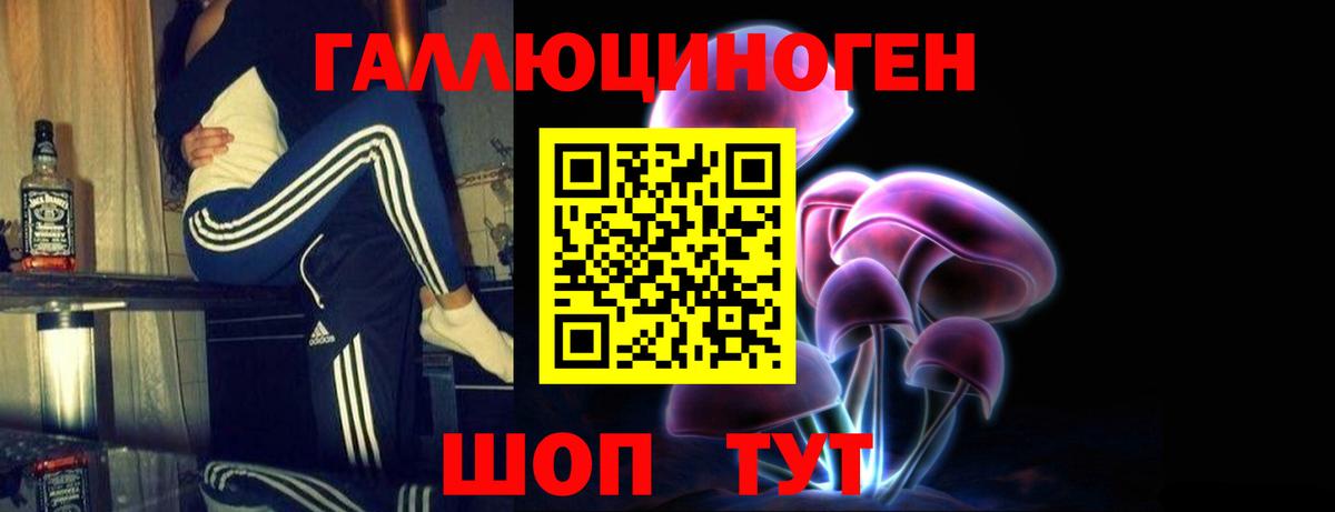 Псилоцибиновые грибы GOLDEN TEACHER  Вход с VPN  Миллерово 